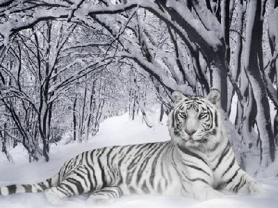 металлический тигр