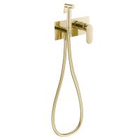 Смеситель встраиваемый FASHUN с гигиенической лейкой (A7585-35) фото в интернет-магазине Русалия