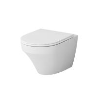 C501700WH Inspire подвесной унитаз FlashClean фото в интернет-магазине Русалия