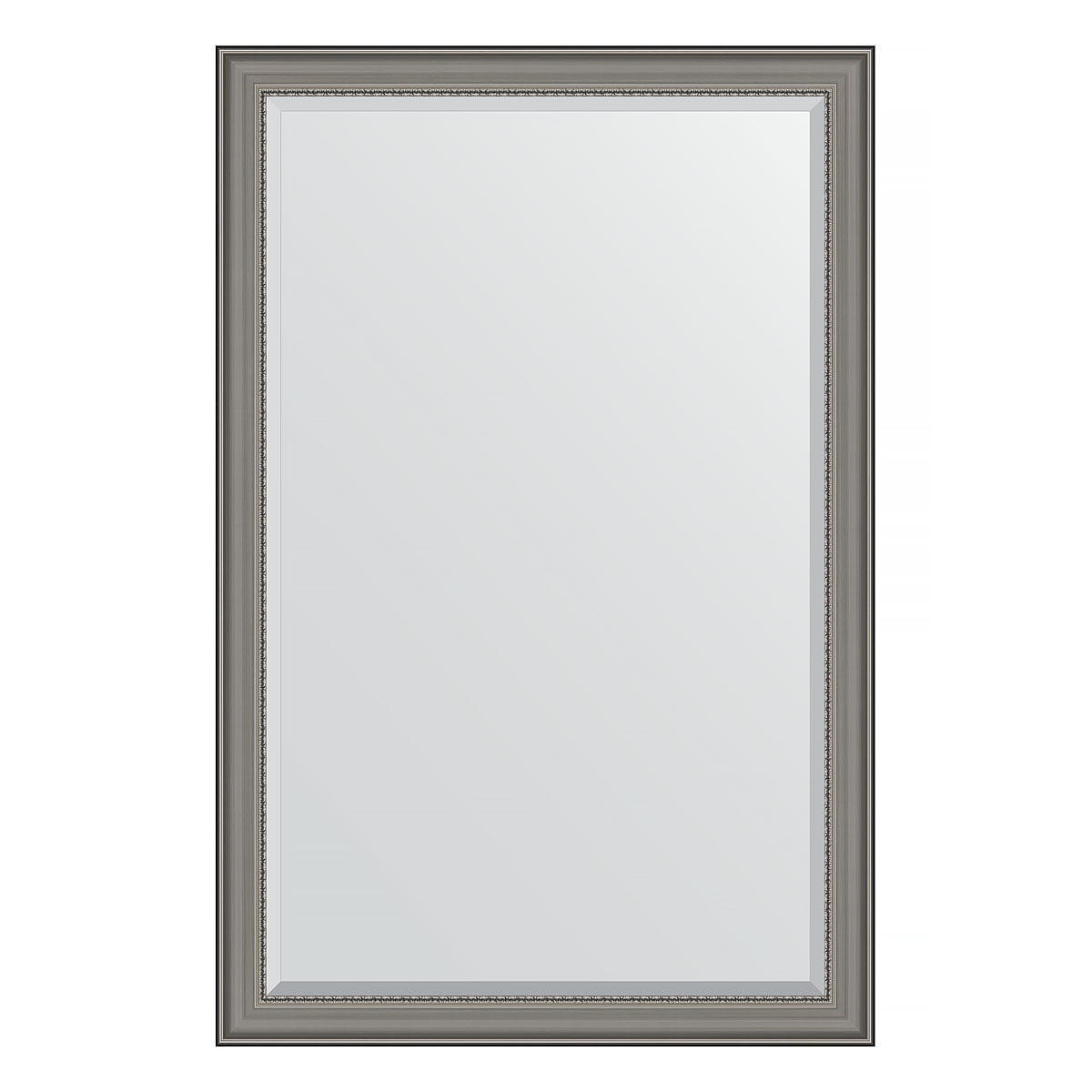 Зеркало настенное с фацетом EVOFORM в багетной раме хамелеон, 116х176 см, BY 1315