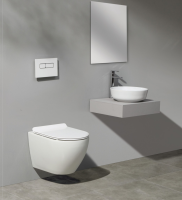 Унитаз подвесной CeramaLux 2197 бело-глянцевый фото в интернет-магазине Русалия