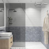 Iberica Blanca Mod.602 Walk In Душевая перегородка неподвижная. Тонированное / Хром. 90х200 см IB602.TC.200.90 фото в интернет-магазине Русалия