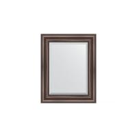 Зеркало настенное с фацетом EVOFORM в багетной раме палисандр, 41х51 см, BY 1356 фото в интернет-магазине Русалия