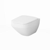 C50A1700SC Inspire V2.0 подвесной унитаз FlashClean с сиденьем микролифт фото в интернет-магазине Русалия