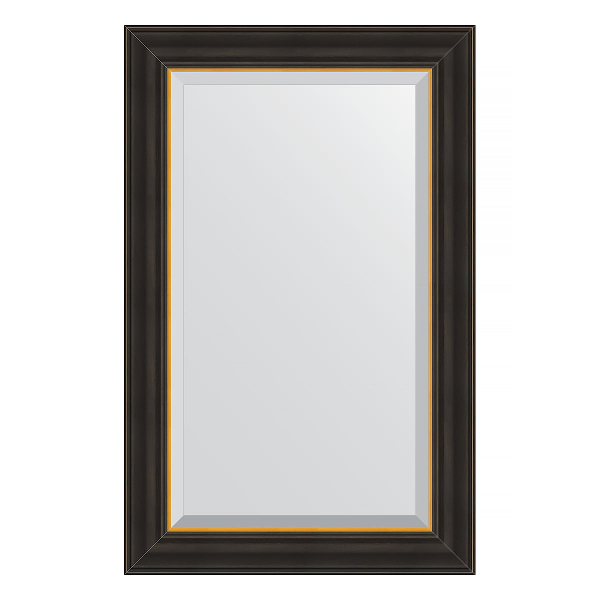 Зеркало настенное с фацетом EVOFORM в багетной раме чёрное дерево с золотом, 54х84 см, BY 3924