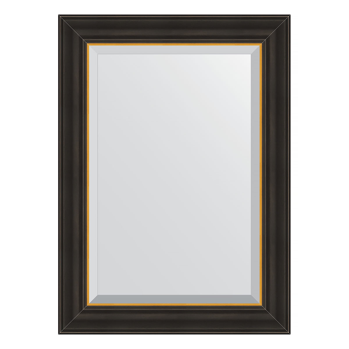 Зеркало настенное с фацетом EVOFORM в багетной раме чёрное дерево с золотом, 54х74 см, BY 3923