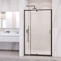 Душевая дверь RGW PA-008B 1200, стекло прозрачное, профиль черный фото в интернет-магазине Русалия