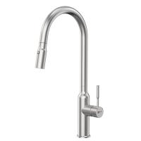 Смеситель Lemark Expert для кухни с вытягивающимся поворотным изливом (LM5086S) фото в интернет-магазине Русалия