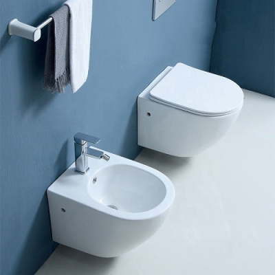 Унитаз подвесной CeramaLux 2196 -1 бело-глянцевый фото в интернет-магазине Русалия