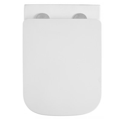 Унитаз подвесной безободковый 0052 Teramo с сиденьем микролифт Azario фото в интернет-магазине Русалия