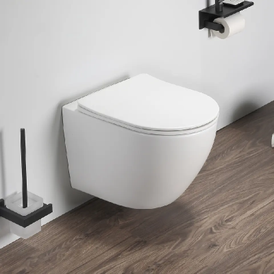 Унитаз TICINO Aria MW ТЕРМООБЖИГ (не плёнка) подвесной безободковый белый матовый Ceruttispa CT8917 (485х365х350) фото в интернет-магазине Русалия