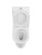 Унитаз BB2801CP-TOR/SC с сиденьем и с бачком BB2801T ACQUA-TOR Belbagno фото в интернет-магазине Русалия