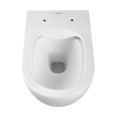 SKANDENBORG RIMLESS Безободковый подвесной унитаз EWC700-125W CHARUS фото в интернет-магазине Русалия