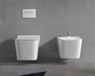 BOND F04-10 Унитаз подвесной безободковый с сиденьем с микролифтом фото в интернет-магазине Русалия