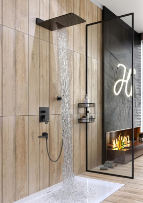 Душевая система встроенная Timo Briana (SX-7119/03SM) черный фото в интернет-магазине Русалия