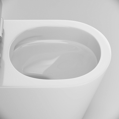 Унитаз подвесной AM.PM Sunny C85C1701SC безободковый с сиденьем микролифт фото в интернет-магазине Русалия