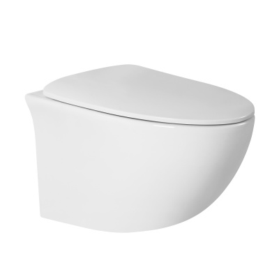 BOND F05-10 Унитаз подвесной безободковый с сиденьем с микролифтом фото в интернет-магазине Русалия