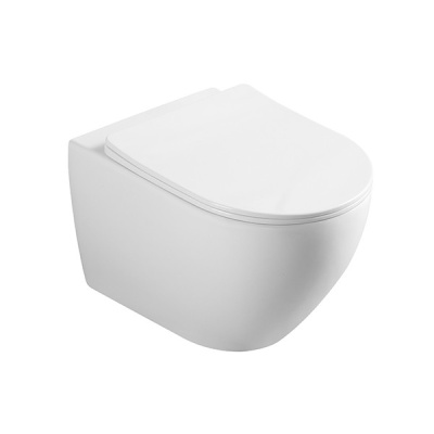 Унитаз подвесной CeramaLux 2196 -1 бело-глянцевый фото в интернет-магазине Русалия