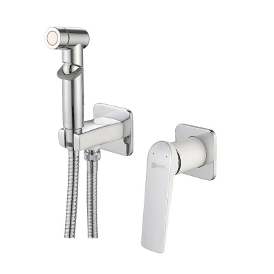 Смеситель Lemark Allegro с гигиеническим душем, встраиваемый (LM5920CW) фото в интернет-магазине Русалия