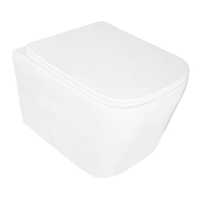 Унитаз подвесной безободковый Delphi 91343 Торнадо с сиденьем микролифт Loranto фото в интернет-магазине Русалия