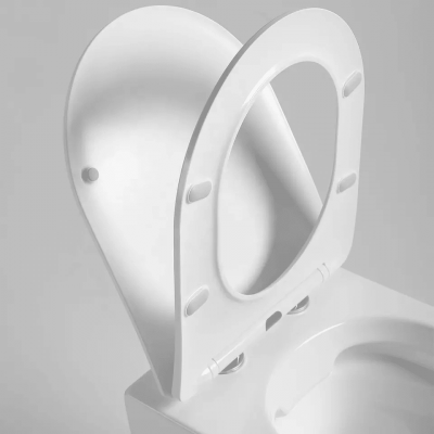 Унитаз SELLA Aria подвесной безободковый Cerutti SPA CT7183 фото в интернет-магазине Русалия