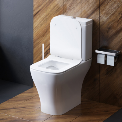 DX78C8600SC Titan унитаз-компакт безободковый с сиденьем микролифт фото в интернет-магазине Русалия