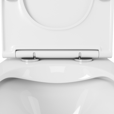 Унитаз OWLT190402 с бачком OWLT190402/2 Vatter Ruta-G с сиденьем микролифт OWL фото в интернет-магазине Русалия