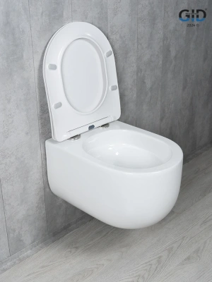 Унитаз подвесной Tornado Gid Tr2133TF 62262Y белый 49x36x34 фото в интернет-магазине Русалия