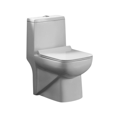 Унитаз-моноблок AZ-1169 ZENO с сиденьем микролифт Azario фото в интернет-магазине Русалия