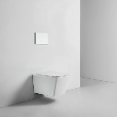 BOND F04-10 Унитаз подвесной безободковый с сиденьем с микролифтом фото в интернет-магазине Русалия