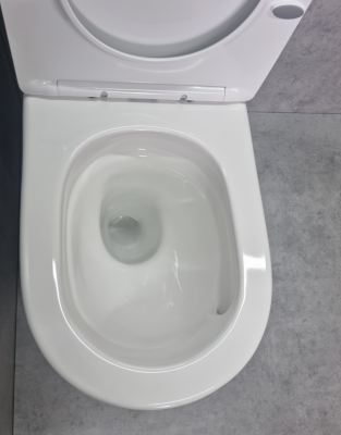 Унитаз TR2177 Торнадо с сиденьем микролифт Ceramalux фото в интернет-магазине Русалия