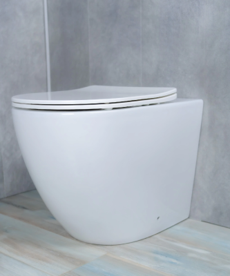 Унитаз приставной Gid TRS-269 62213Y белый 56x36.5x42 фото в интернет-магазине Русалия