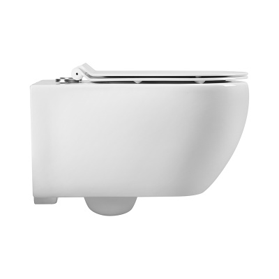 SKANDENBORG RIMLESS Безободковый подвесной унитаз EWC700-125W CHARUS фото в интернет-магазине Русалия