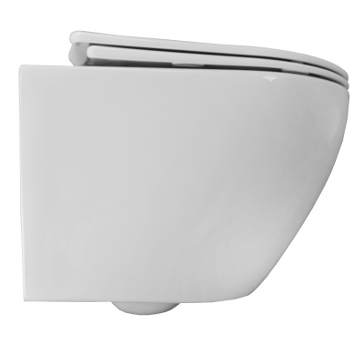 Унитаз подвесной безободковый Fatto AZ-1049WS с сиденьем микролифт Azario фото в интернет-магазине Русалия