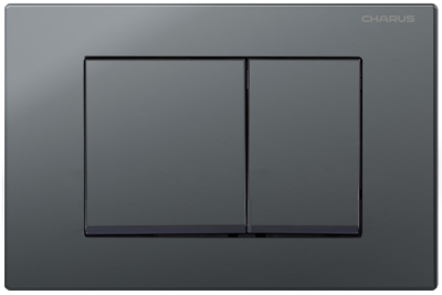 Клавиша для инсталляции CHARUS TM FP.310.GRP.01 фото в интернет-магазине Русалия