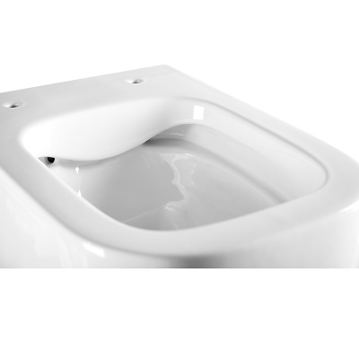 PINTO RIMLESS Безободковый подвесной унитаз EWC700-126W CHARUS фото в интернет-магазине Русалия