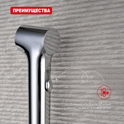 Лейка для гигиенического душа Raglo R460.05, хром фото в интернет-магазине Русалия