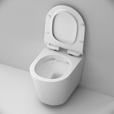 Унитаз подвесной AM.PM Sunny C85C1701SC безободковый с сиденьем микролифт фото в интернет-магазине Русалия