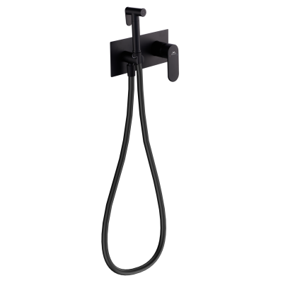 Смеситель встраиваемый FASHUN с гигиенической лейкой (A7585-7) фото в интернет-магазине Русалия