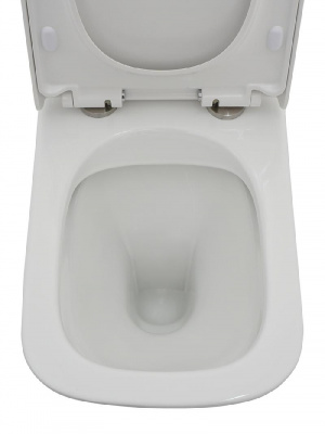 AQM1005 Унитаз напольный Rimless c сиденьем SoftClose, горизонтальный выпуск. 620x345x415мм AQUAme фото в интернет-магазине Русалия