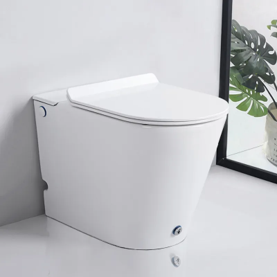 Унитаз ARGENTERA Pulse приставной с функцией импульсного смыва Ceruttispa CT7267 (575x360x410) фото в интернет-магазине Русалия