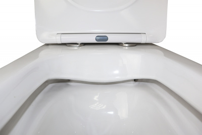 Унитаз безободковый AZ-1038A N Fretta Square с сиденьем микролифт Azario фото в интернет-магазине Русалия