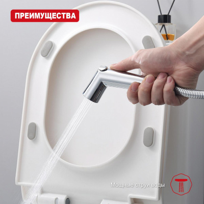 Лейка для гигиенического душа Raglo R460.01, хром фото в интернет-магазине Русалия