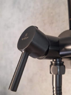 Встраиваемый гигиенический душ BM 060118 GrMt AltroBagno фото в интернет-магазине Русалия