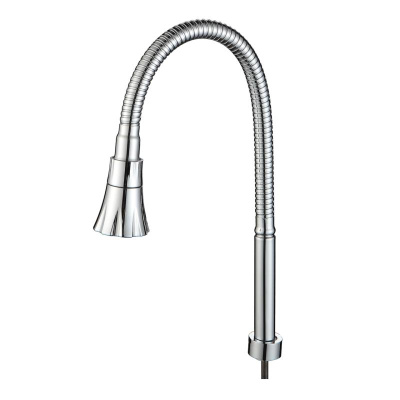 Гибкий излив Splenka S482.02, хром фото в интернет-магазине Русалия