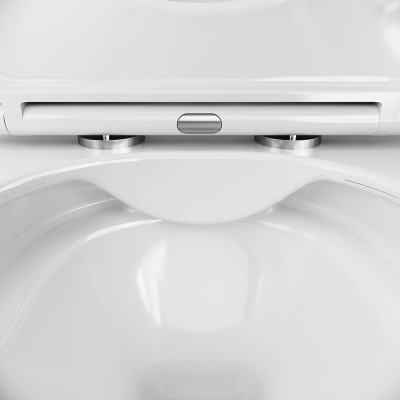 C8F1701SC Func подвесной унитаз 54 см FlashClean с сиденьем микролифт фото в интернет-магазине Русалия