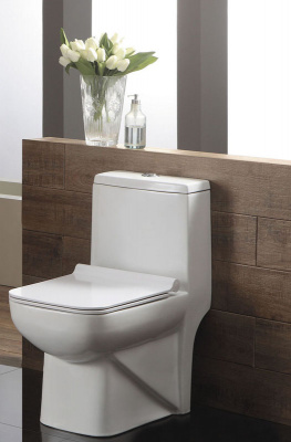 Унитаз-моноблок AZ-1169 ZENO с сиденьем микролифт Azario фото в интернет-магазине Русалия