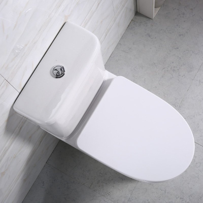 Унитаз безободковый BB130CPR с бачком BB130T Steam Belbagno фото в интернет-магазине Русалия