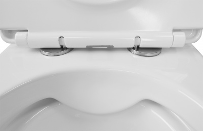 Унитаз подвесной безободковый Fatto AZ-1049WS с сиденьем микролифт Azario фото в интернет-магазине Русалия