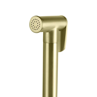 Гигиенический душ со смесителем встраиваемый FILARETE Roun FL100MG, матовое золото фото в интернет-магазине Русалия